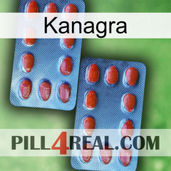 Kanagra 05